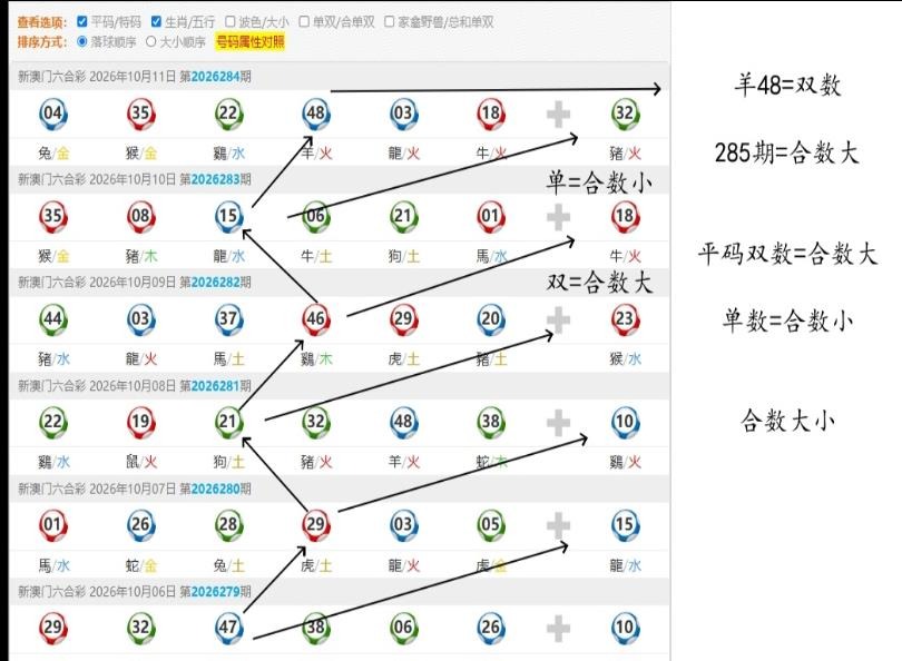规律16