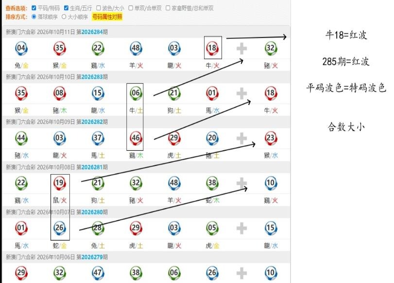 规律17